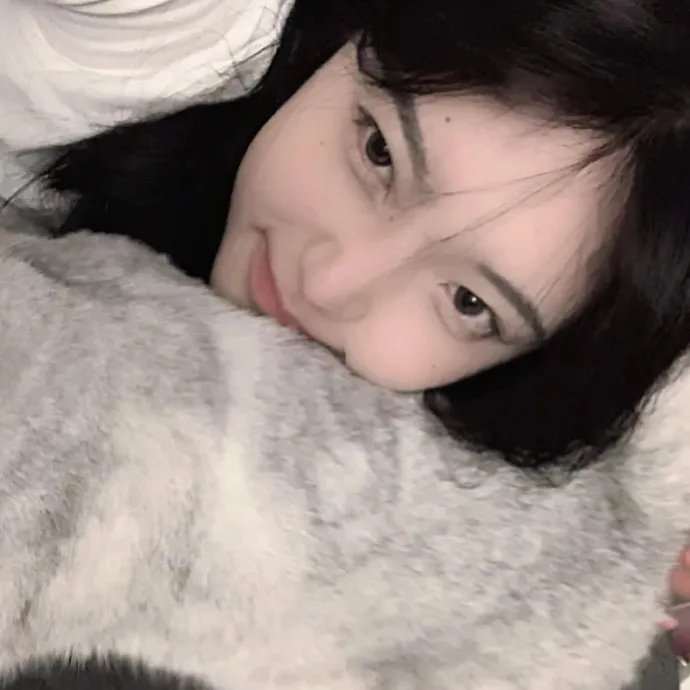 这里的黎明静悄悄